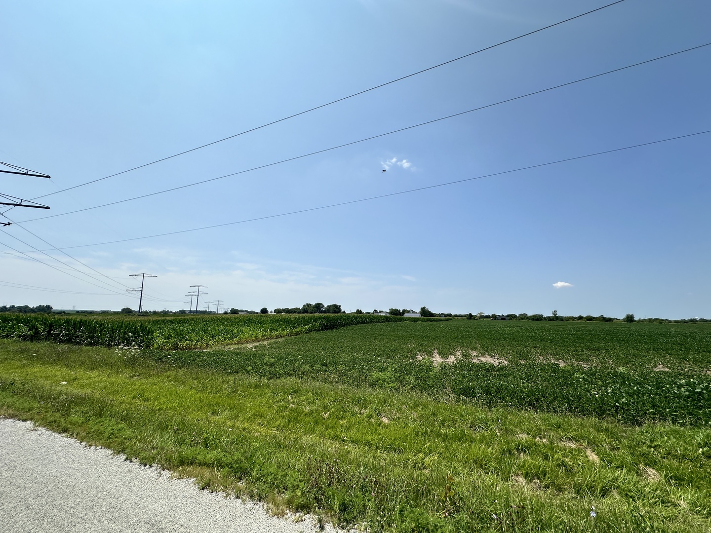 Tract 1 Schoolhouse/haley rd Road, Manhattan, IL 60442