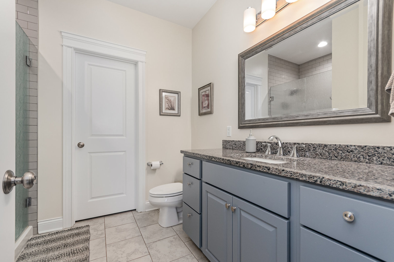 531 W Meadowdale Circle, Hampshire, IL 60140