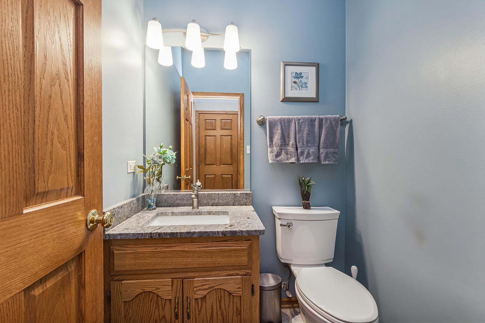 13962 Springview Lane, Orland Park, IL 60467