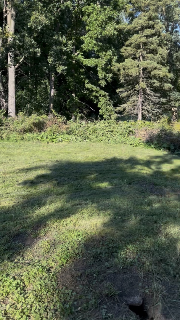 17 E Lyncliff Drive, Oswego, IL 60543