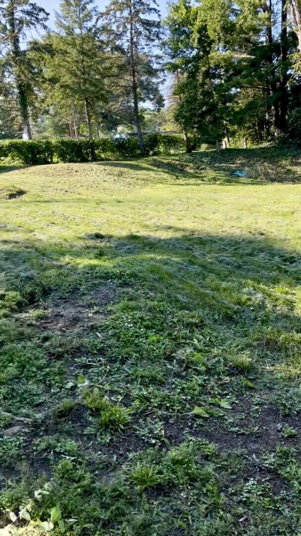 17 E Lyncliff Drive, Oswego, IL 60543