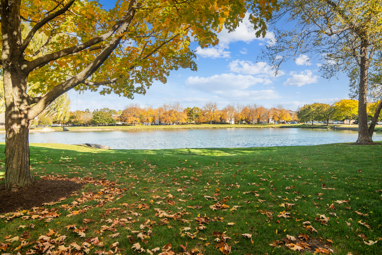 1316 E Evergreen Drive #7, Palatine, IL 60074