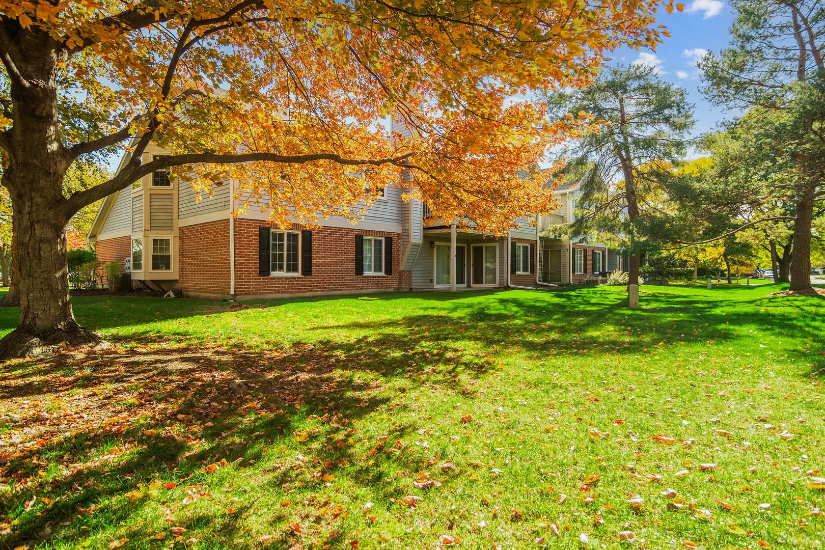 1316 E Evergreen Drive #7, Palatine, IL 60074