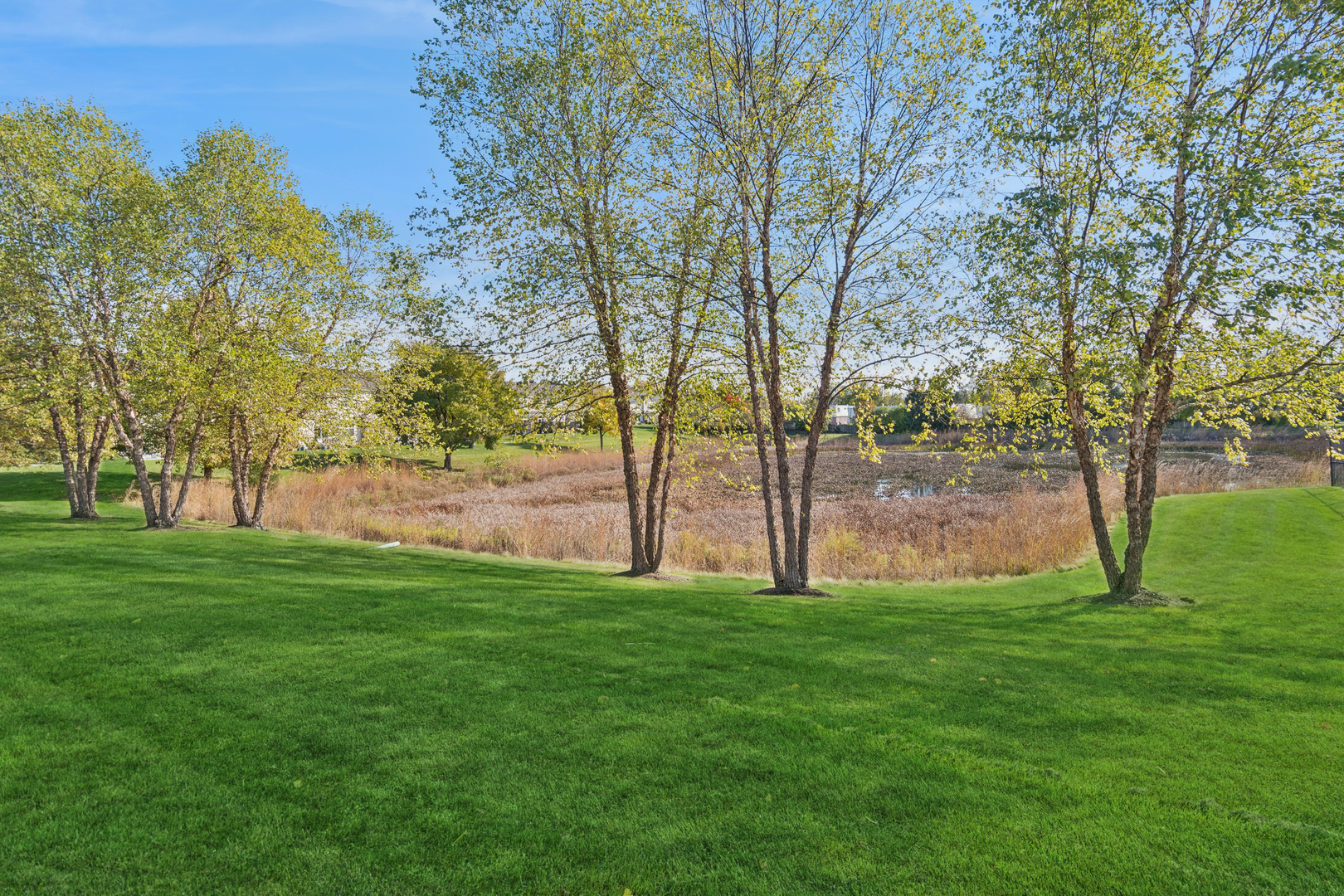 34W685 Roosevelt Avenue #B, St. Charles, IL 60174