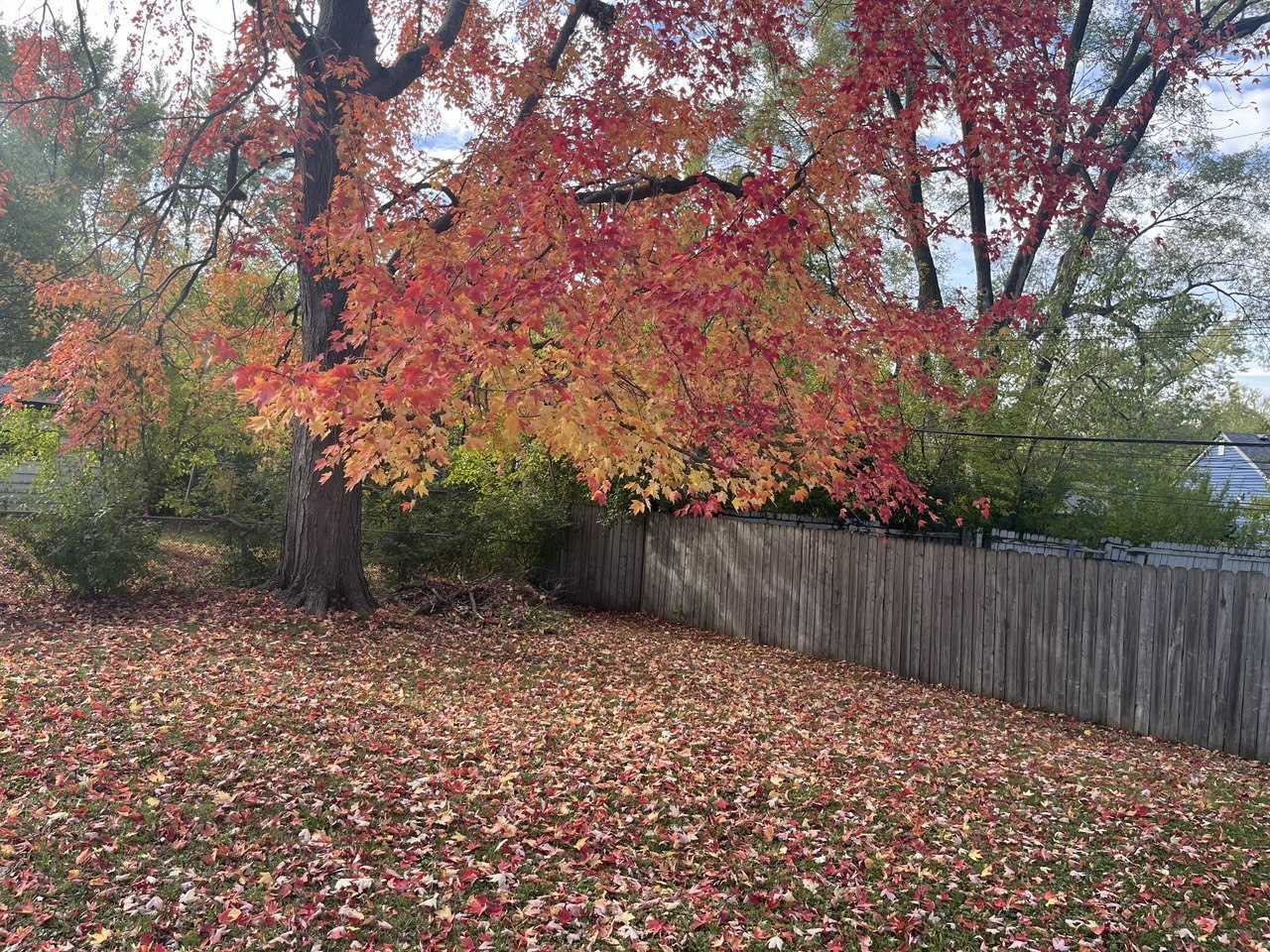 22146 Yates Avenue, Sauk Village, IL 60411