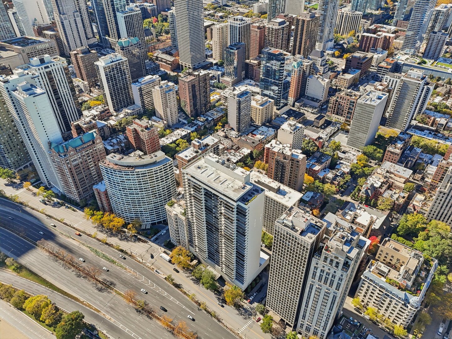 1212 N Lake Shore Drive #10CS, Chicago, IL 60610