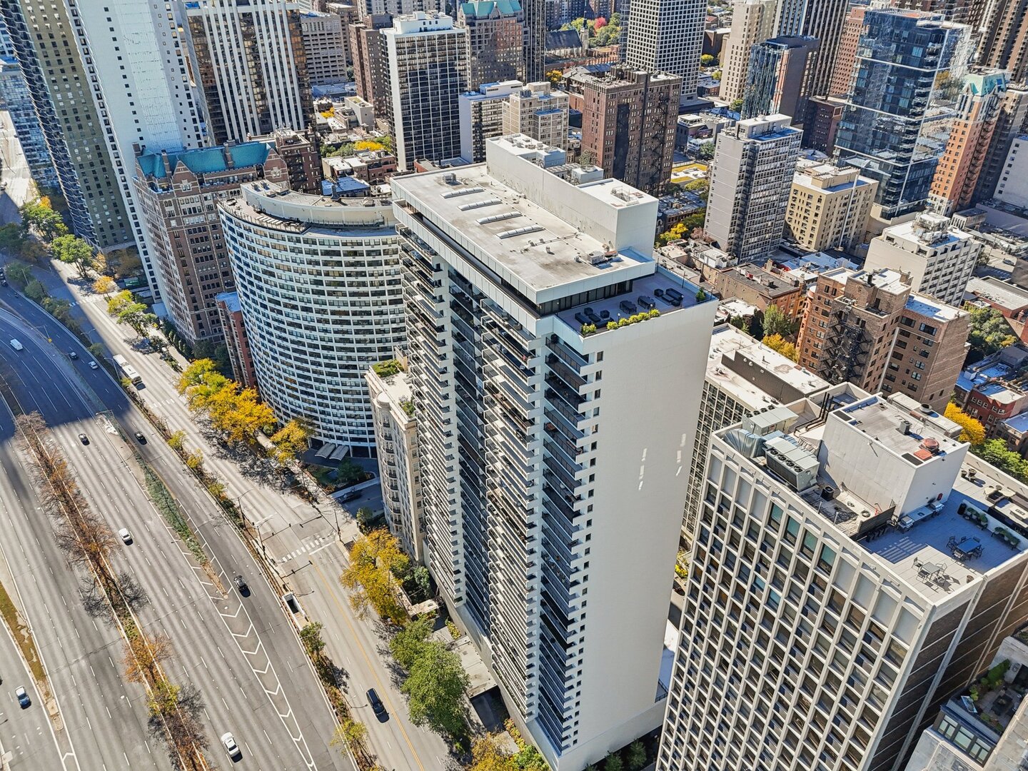 1212 N Lake Shore Drive #10CS, Chicago, IL 60610