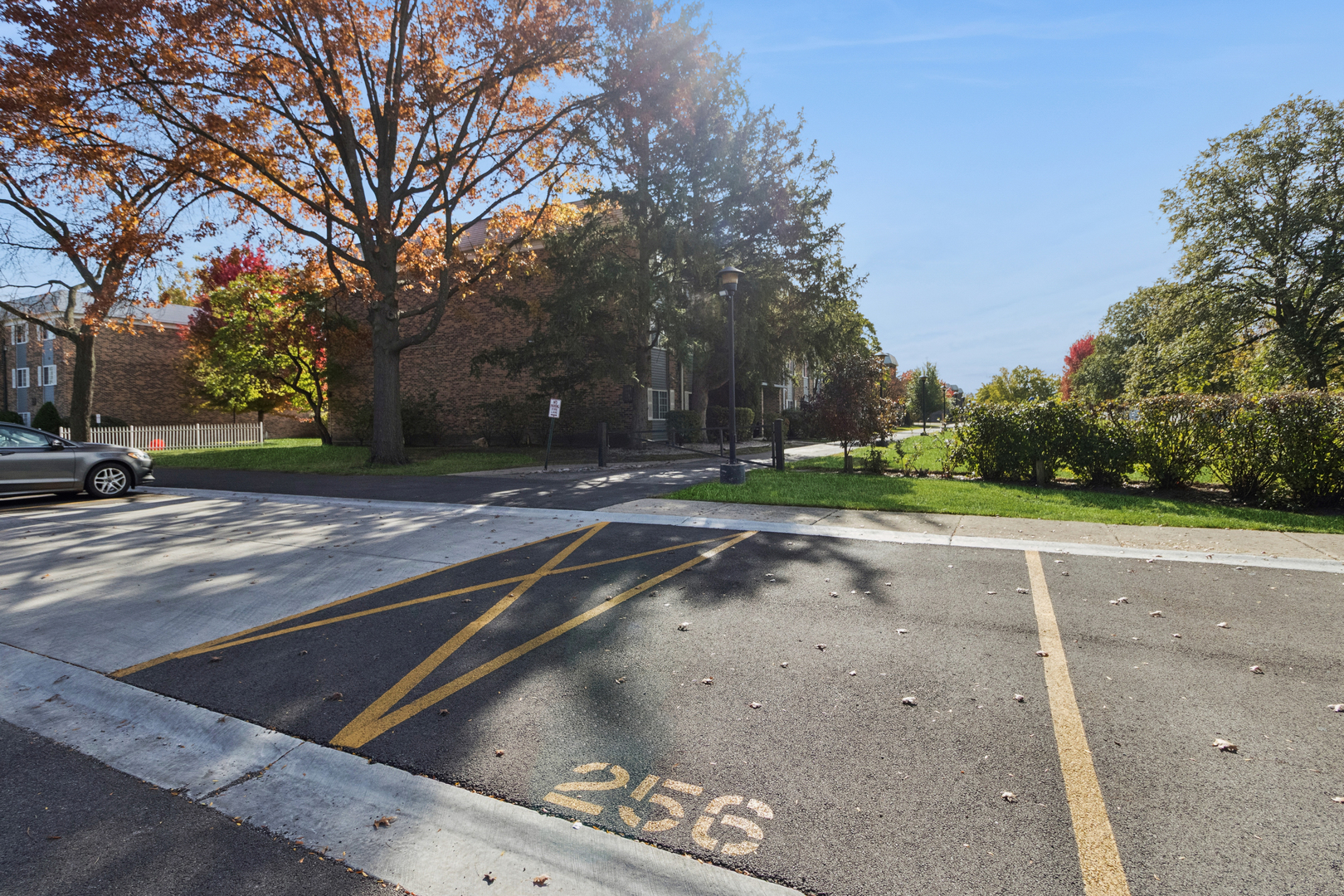 1633 N Windsor Drive #113, Arlington Heights, IL 60004