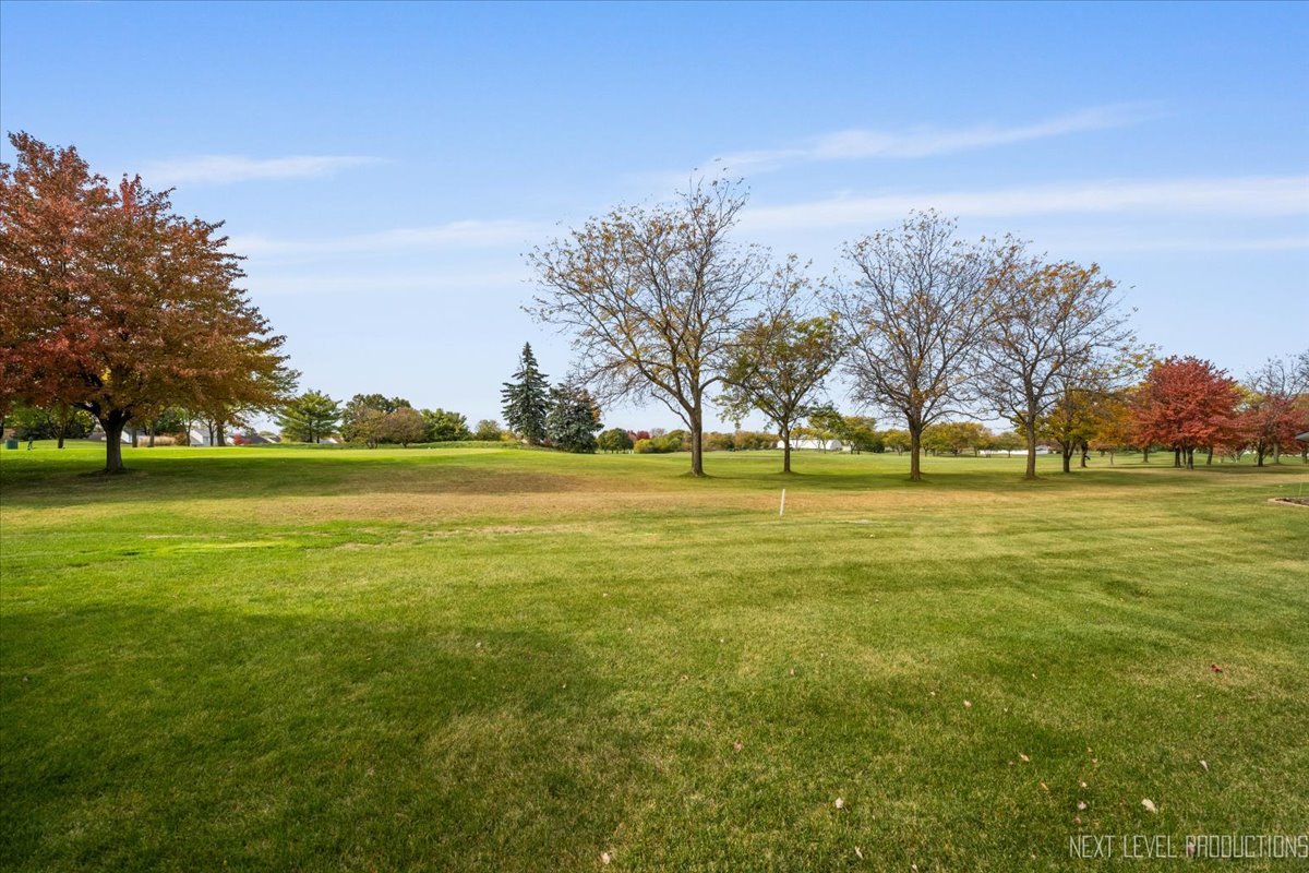 21289 Silktree Circle, Plainfield, IL 60544