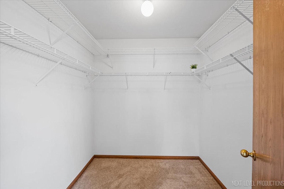 21289 Silktree Circle, Plainfield, IL 60544