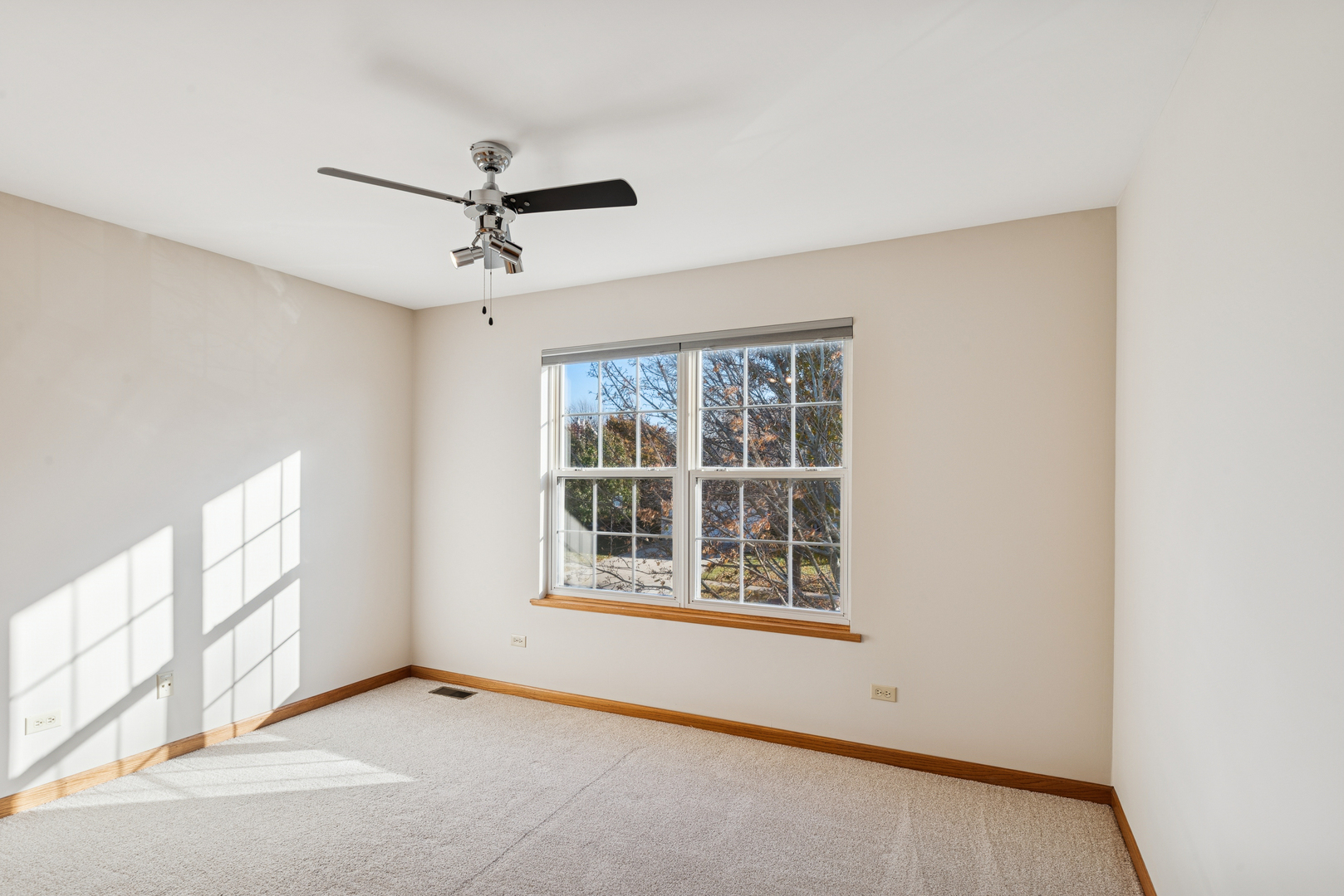 1162 Silo Hill Drive, Grayslake, IL 60030