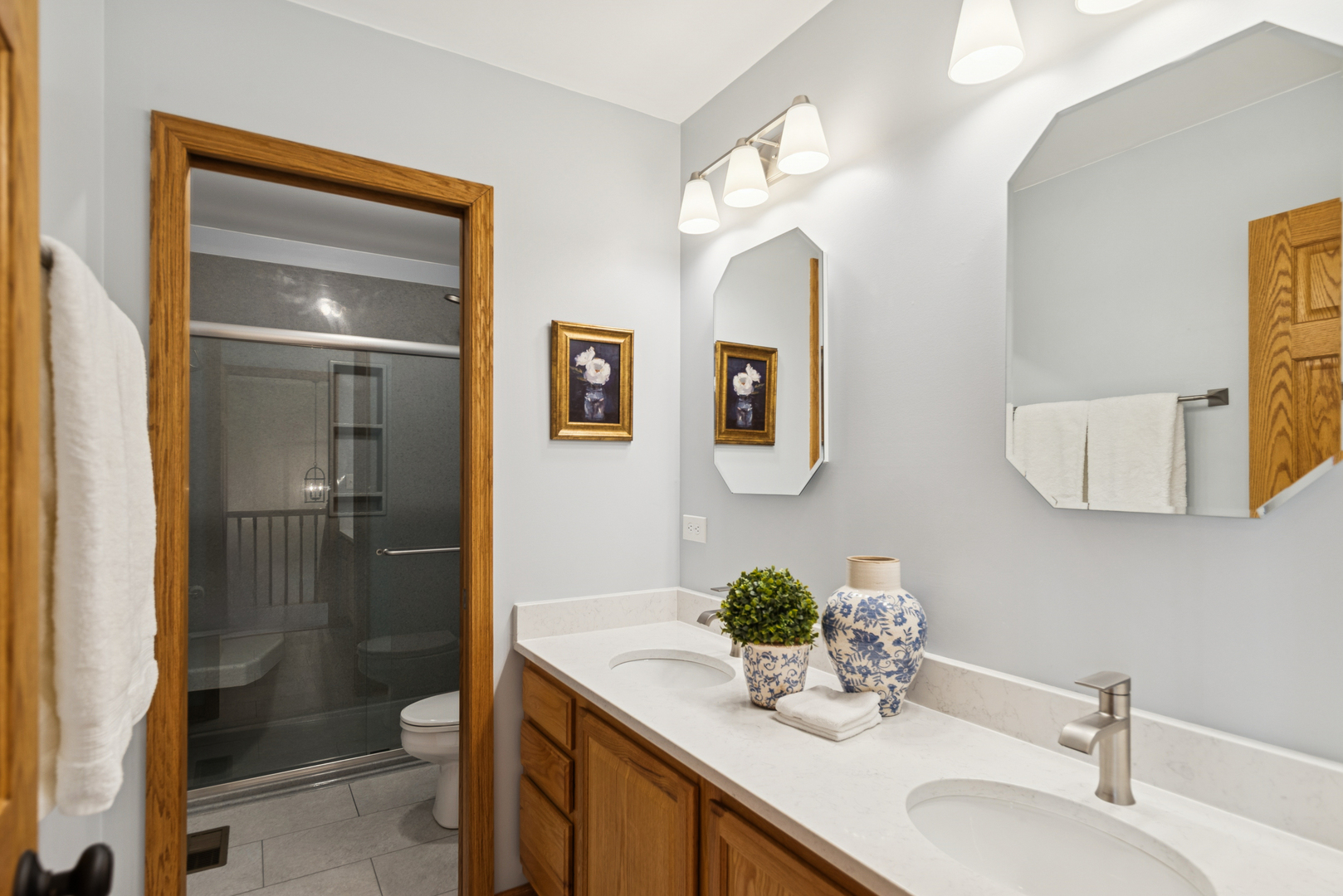 1162 Silo Hill Drive, Grayslake, IL 60030