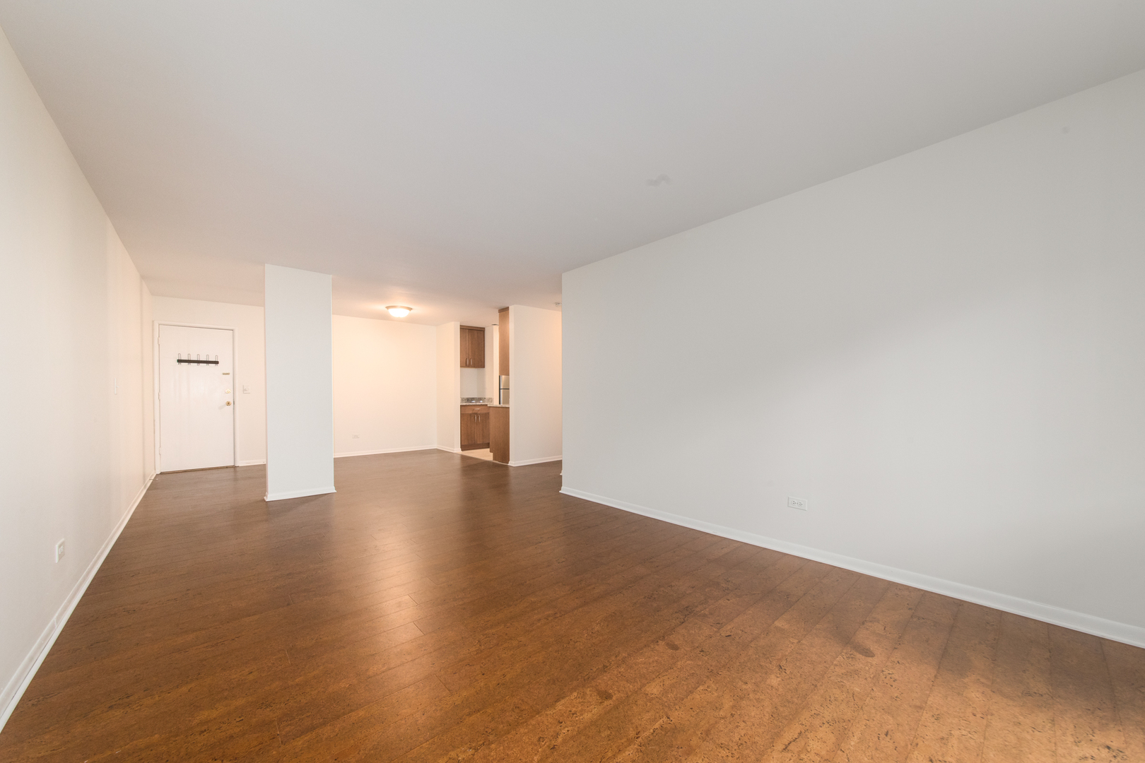 1136 Greenleaf Avenue #303, Wilmette, IL 60091