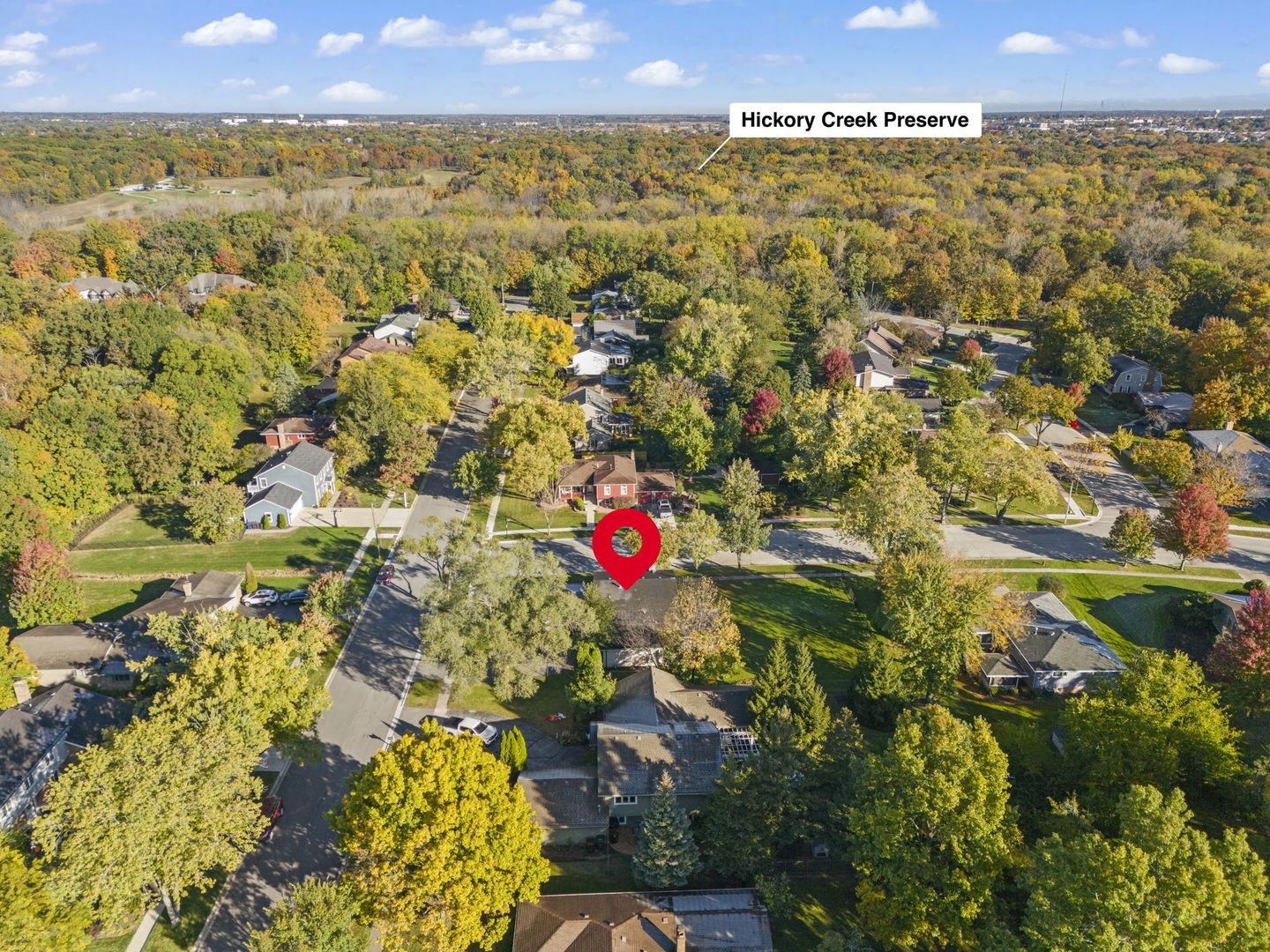 797 Oakwood Drive, Frankfort, IL 60423