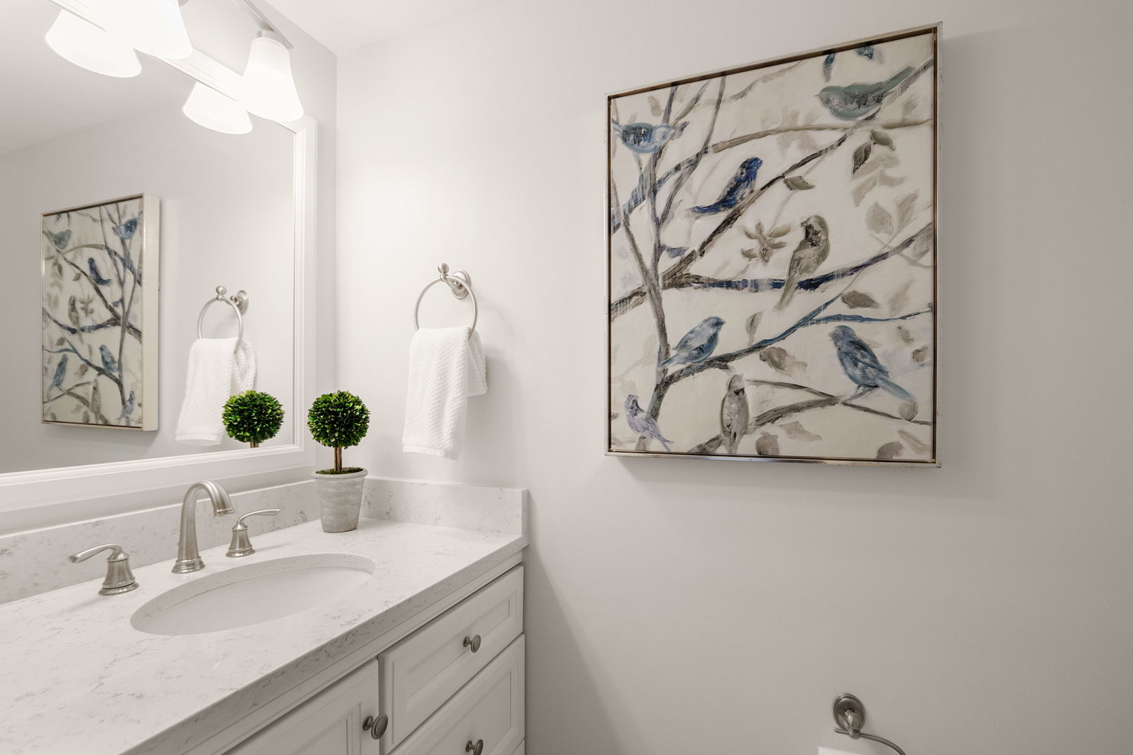 344 Rock Hall Circle, Grayslake, IL 60030