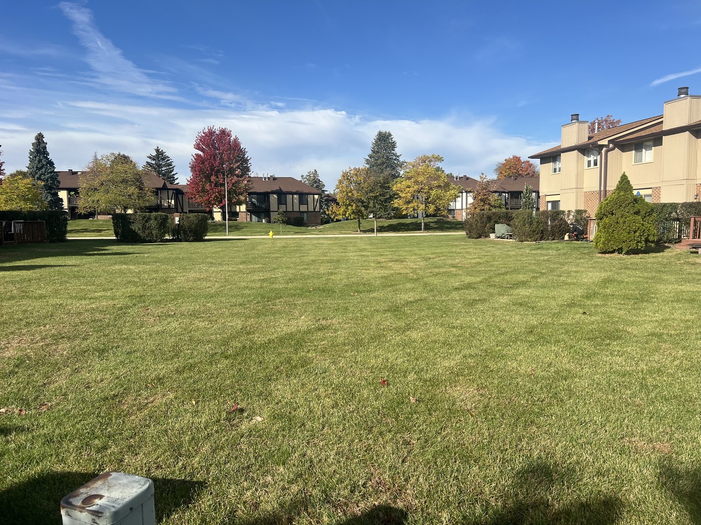 1038 Liskeard Court, Wheaton, IL 60189