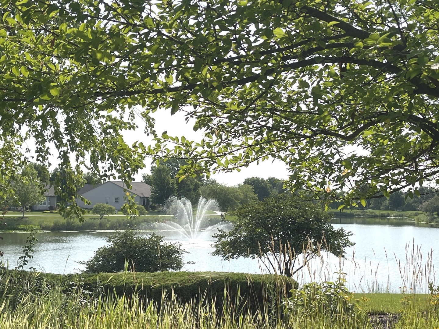 704 Flag Drive, Shorewood, IL 60404