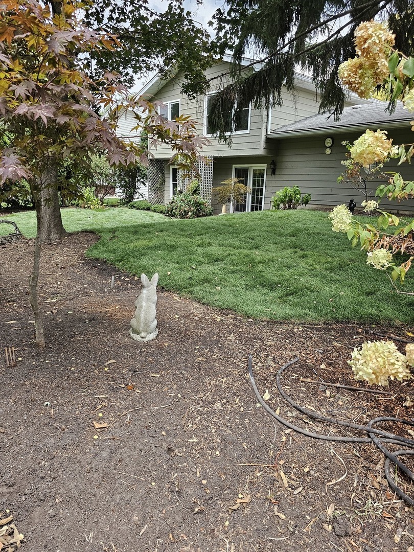 141 N Lancaster Drive, Bolingbrook, IL 60440