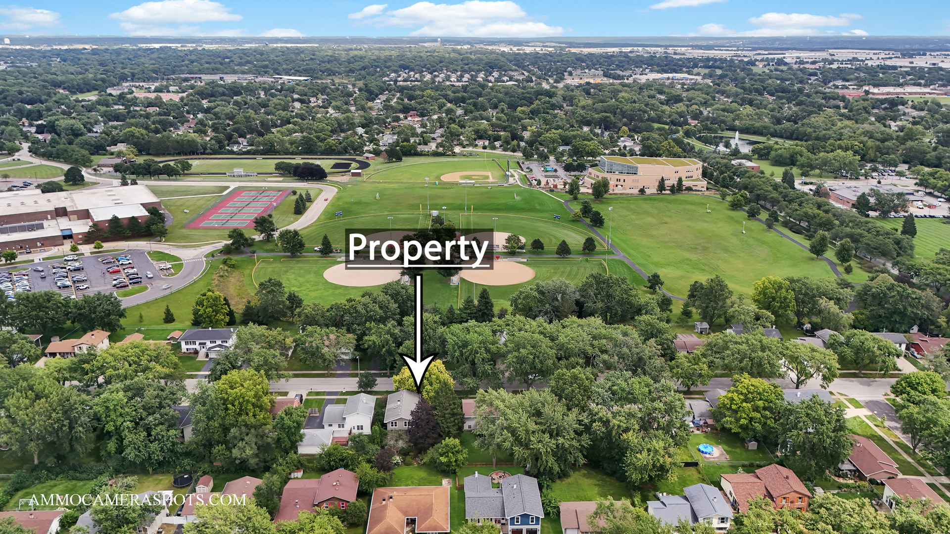 141 N Lancaster Drive, Bolingbrook, IL 60440