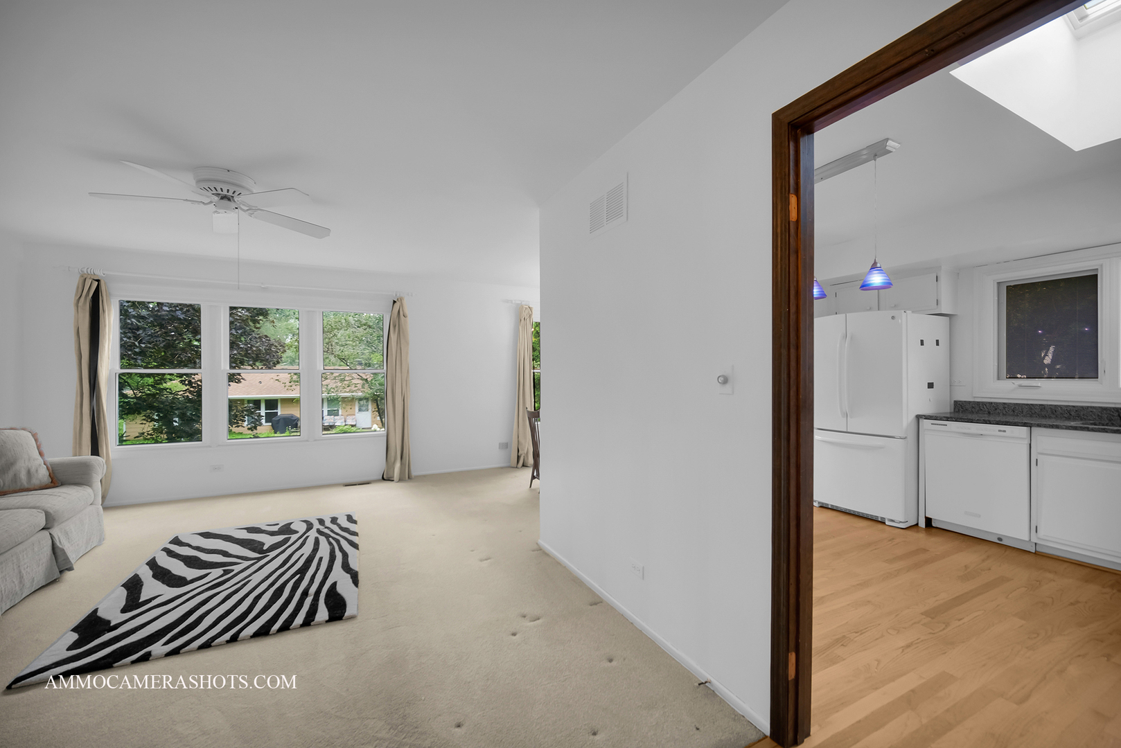 141 N Lancaster Drive, Bolingbrook, IL 60440