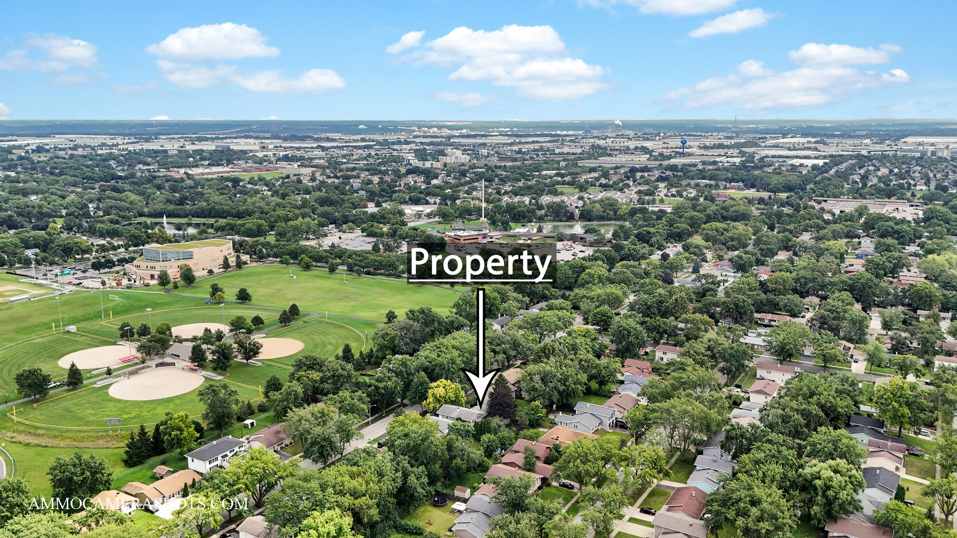 141 N Lancaster Drive, Bolingbrook, IL 60440