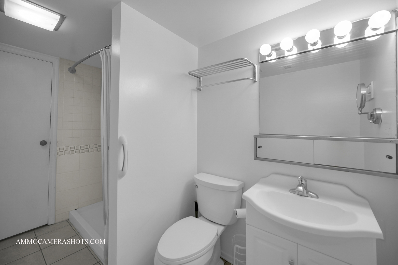 141 N Lancaster Drive, Bolingbrook, IL 60440