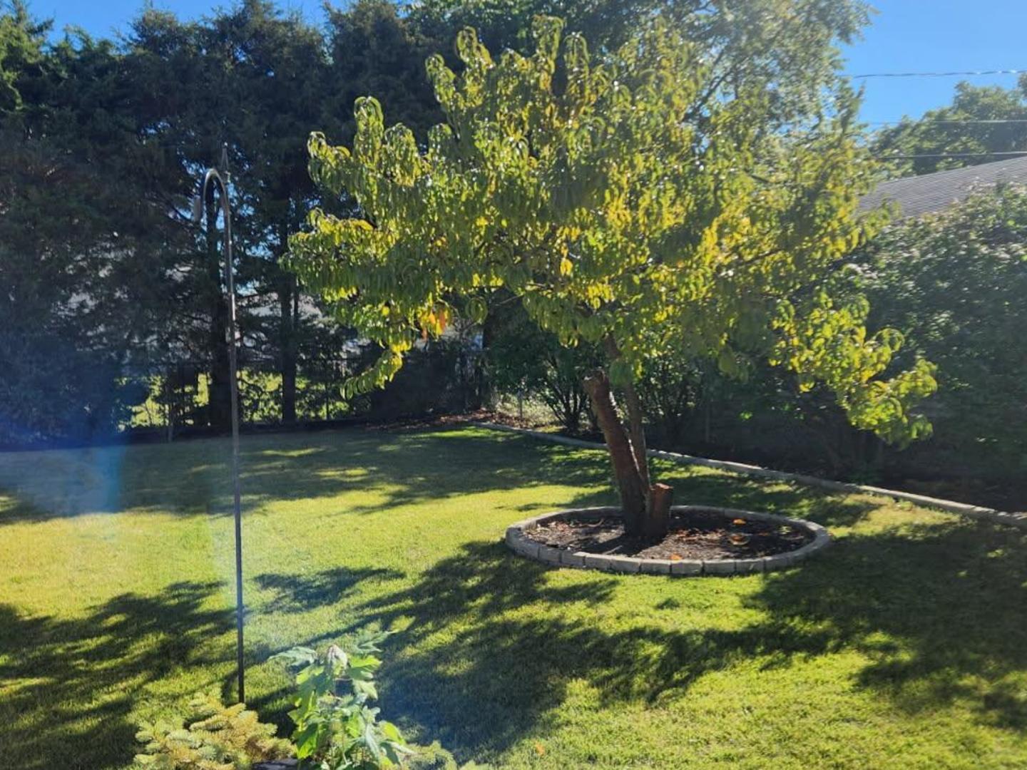 921 S Iowa Avenue, Addison, IL 60101