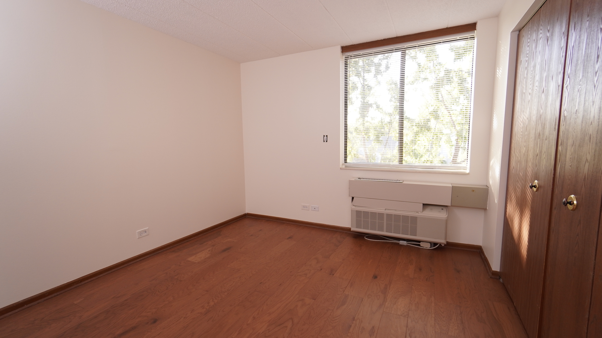 75 Kristin Circle #516, Schaumburg, IL 60195