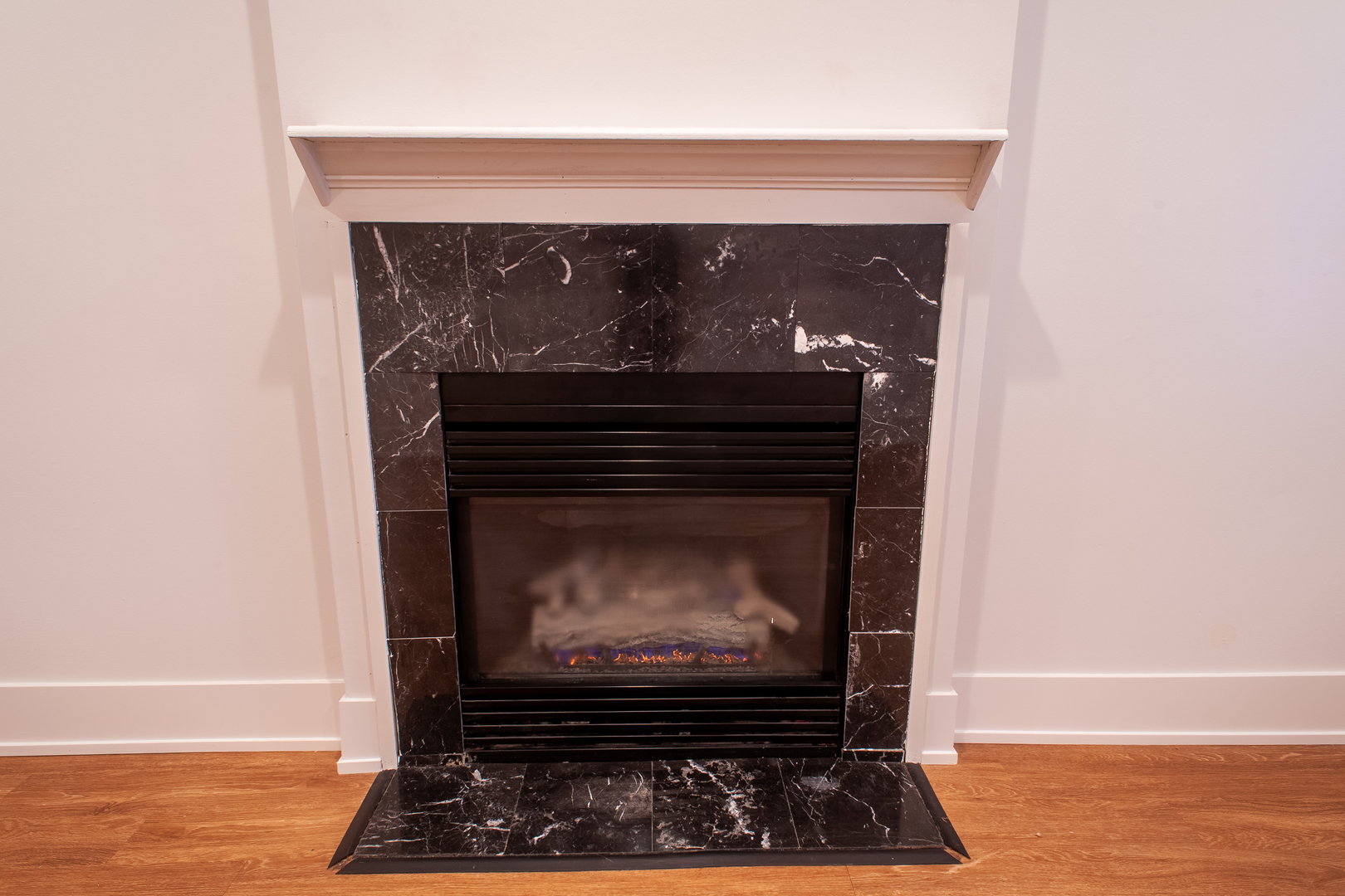 916 N PAULINA Street #GARDEN, Chicago, IL 60622