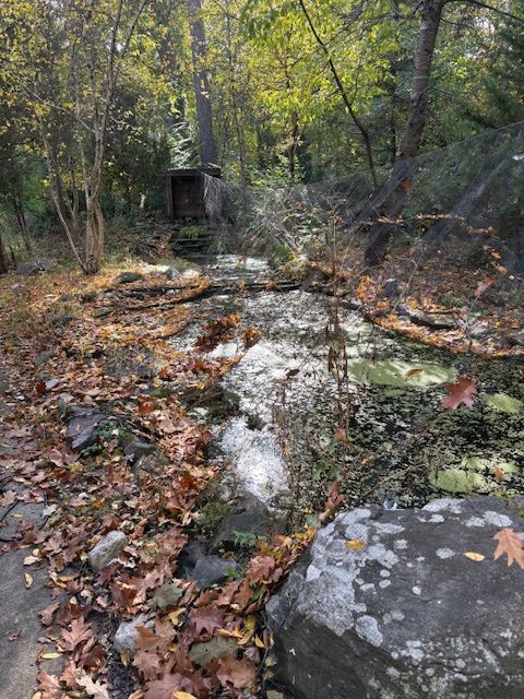 15539 S Gougar Road, Homer Glen, IL 60491