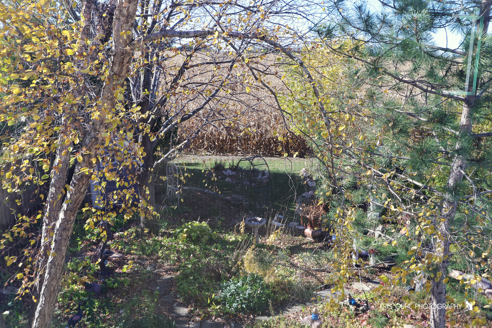 2020 Harrison Avenue, Mundelein, IL 60060