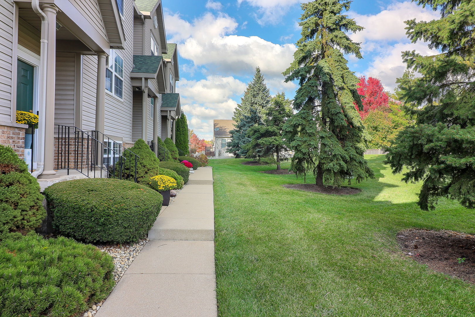 1914 S Austrian Pine Street, Lockport, IL 60441