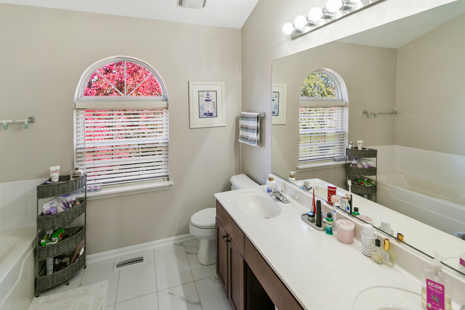 338 Millstream Lane, Oswego, IL 60543