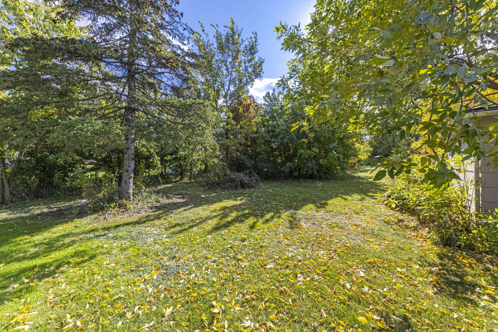 5825 Webster Street, Downers Grove, IL 60516