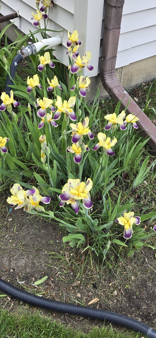 1259 Natchez Trace Circle, Naperville, IL 60540