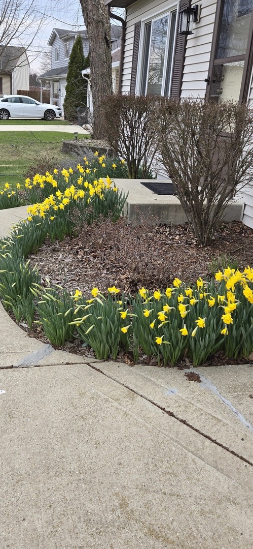 1259 Natchez Trace Circle, Naperville, IL 60540