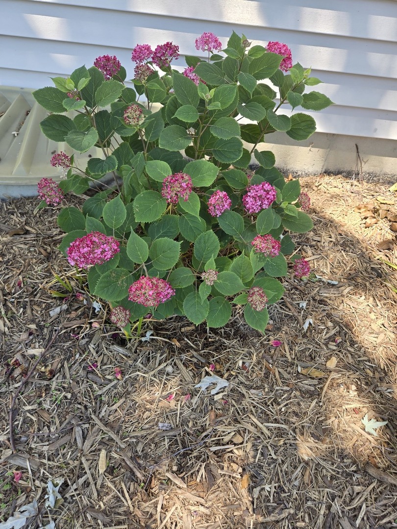 1259 Natchez Trace Circle, Naperville, IL 60540