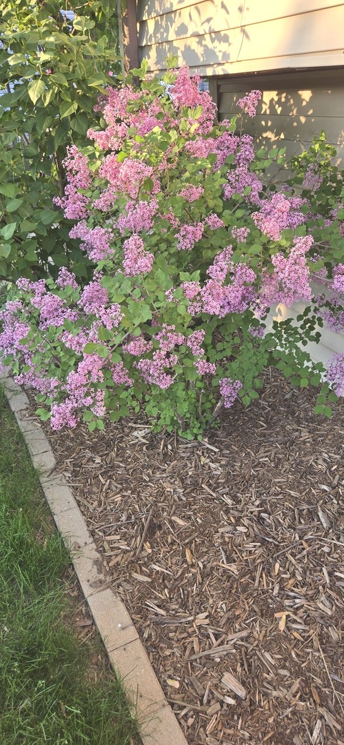 1259 Natchez Trace Circle, Naperville, IL 60540