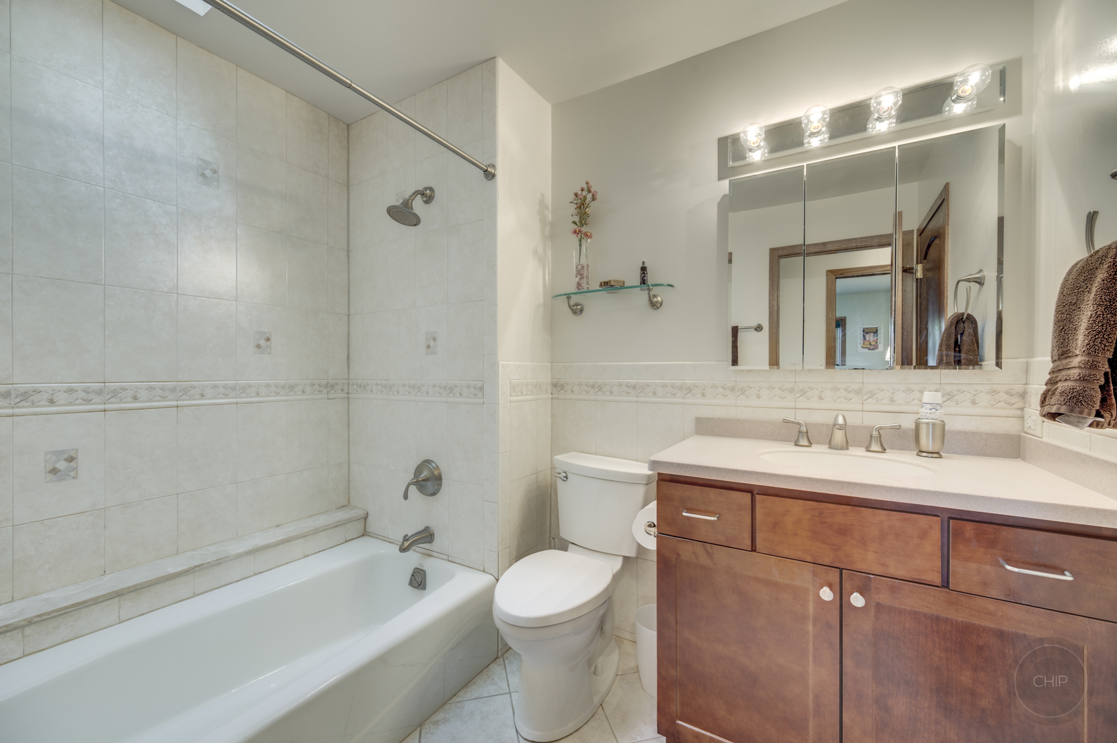 1259 Natchez Trace Circle, Naperville, IL 60540