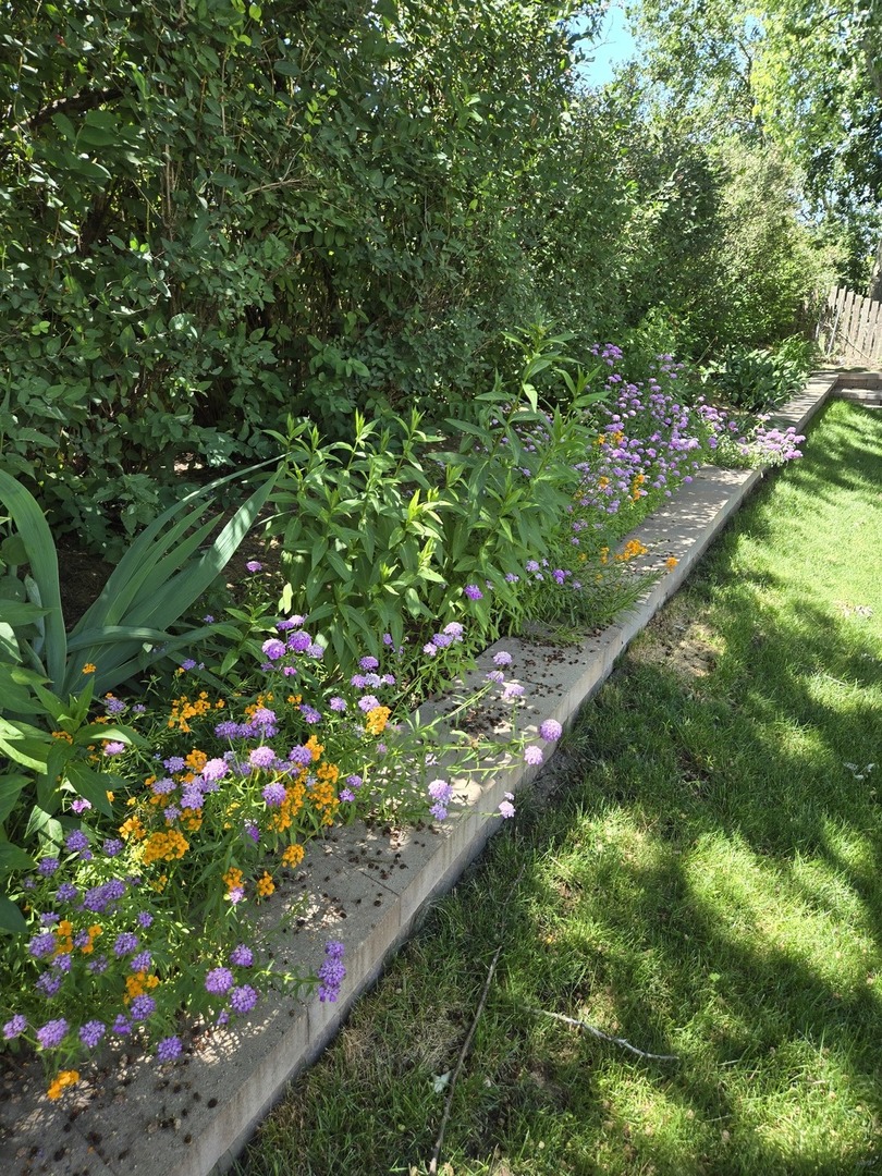 1259 Natchez Trace Circle, Naperville, IL 60540