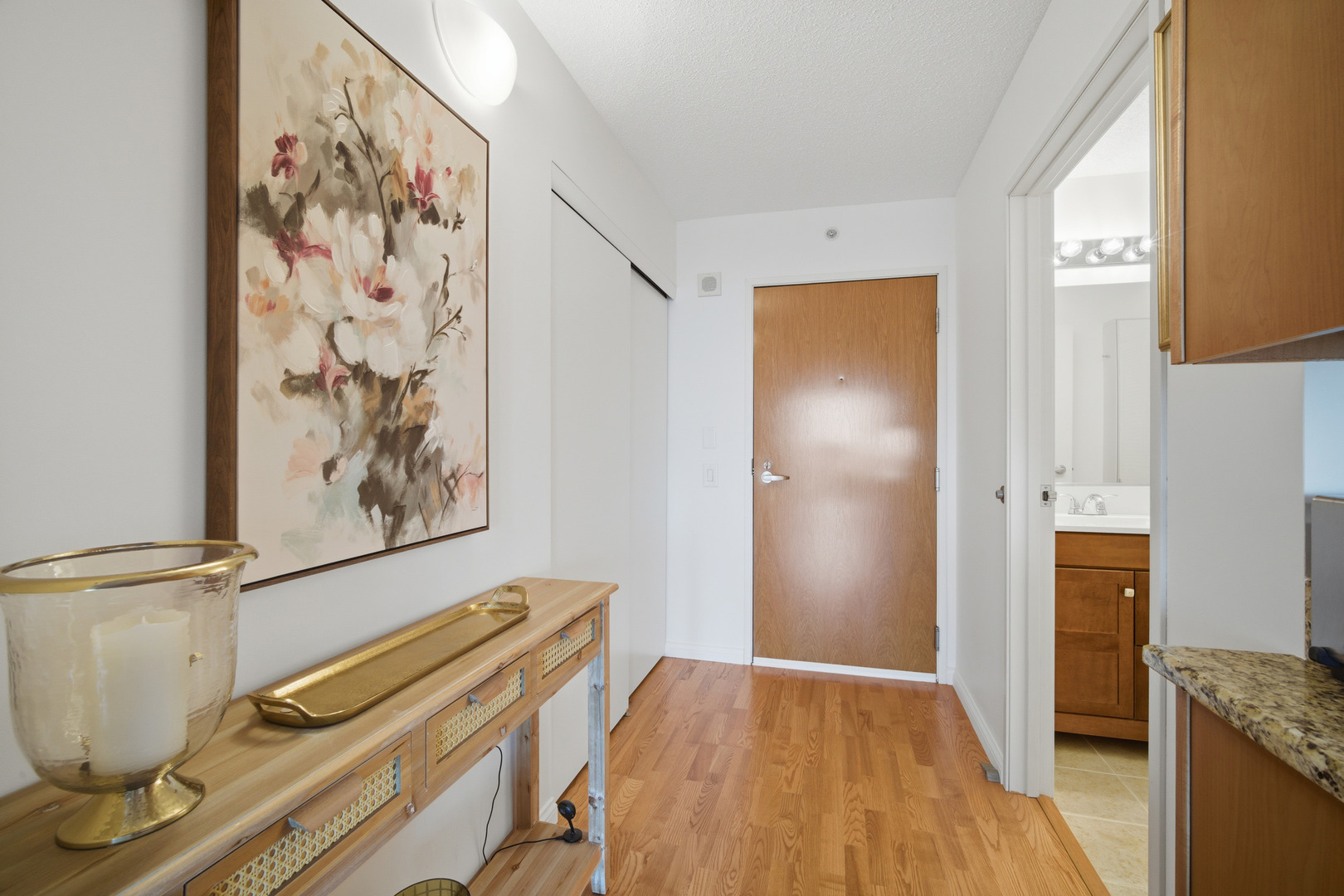 9655 WOODS Drive #1304, Skokie, IL 60077