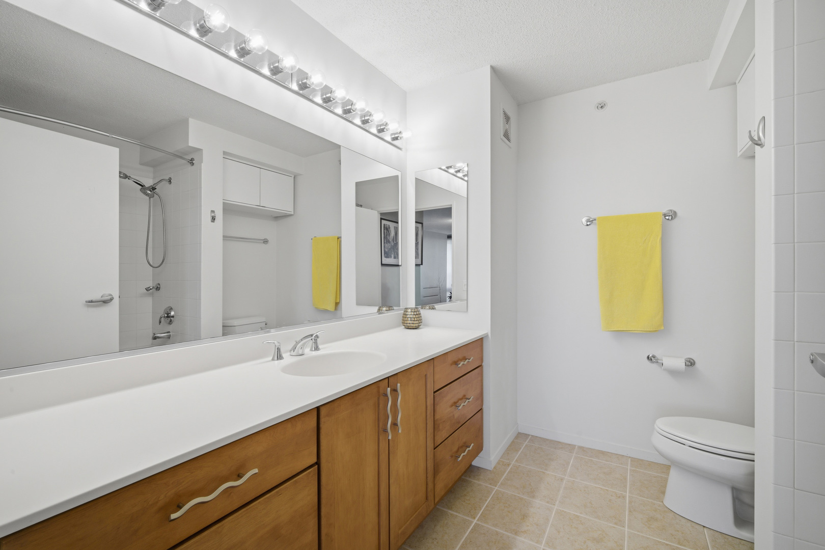 9655 WOODS Drive #1304, Skokie, IL 60077