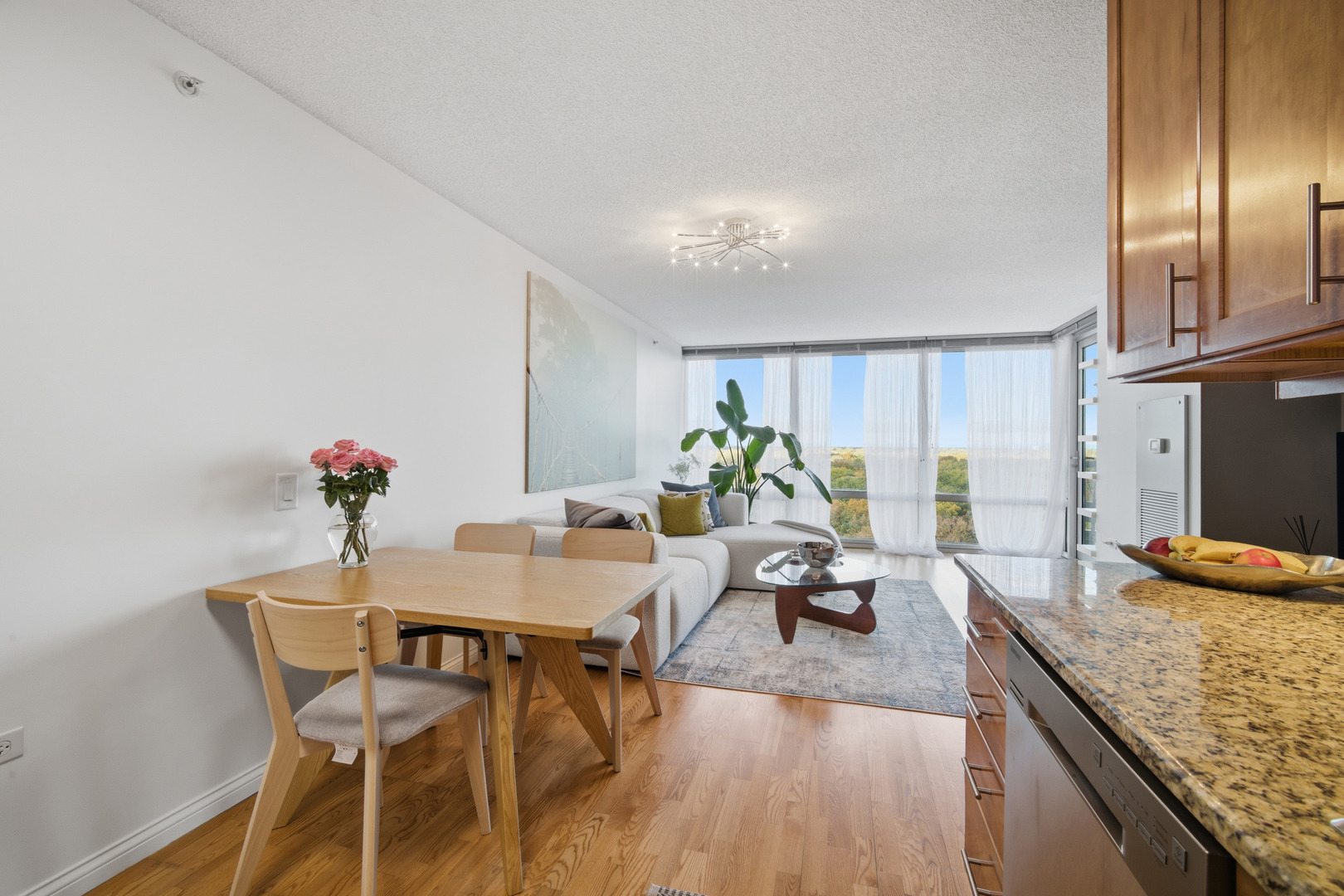 9655 WOODS Drive #1304, Skokie, IL 60077