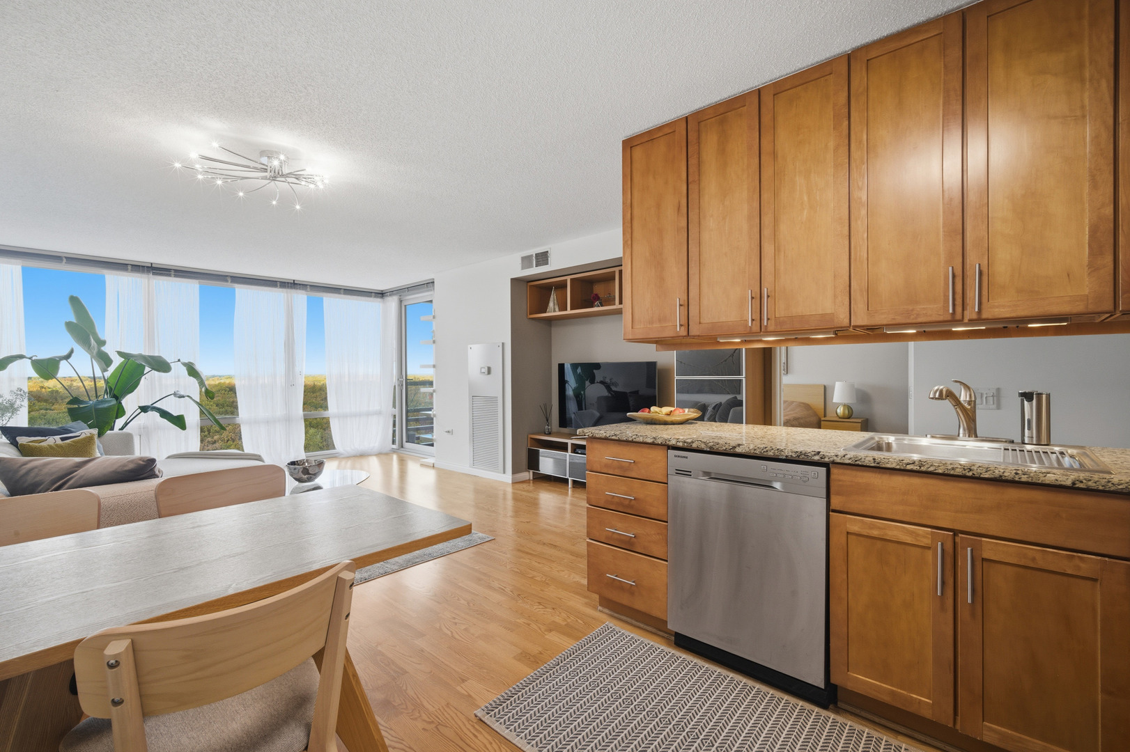 9655 WOODS Drive #1304, Skokie, IL 60077