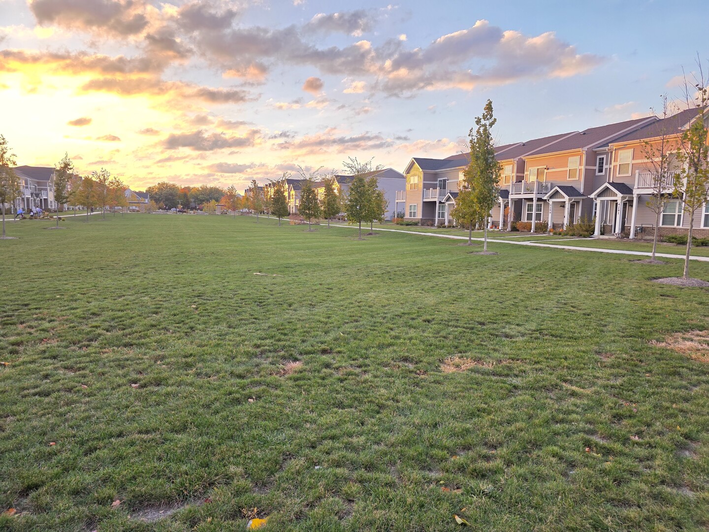 4219 Chelsea Manor Circle, Aurora, IL 60504