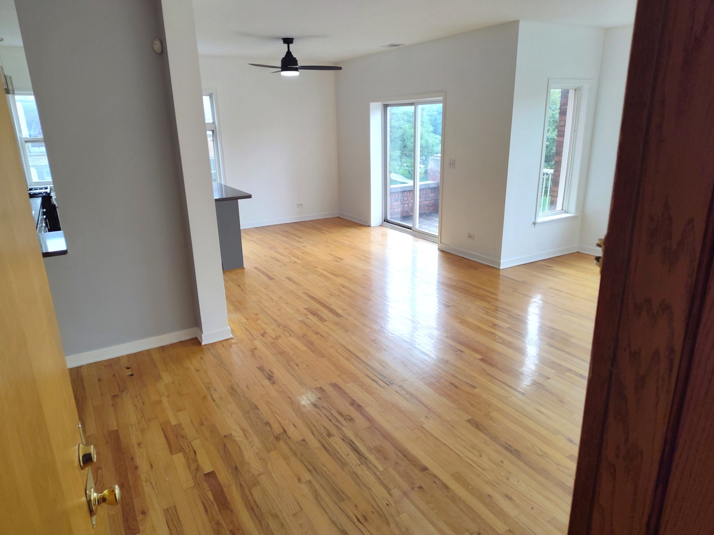 757 S Independence Boulevard #3S, Chicago, IL 60624