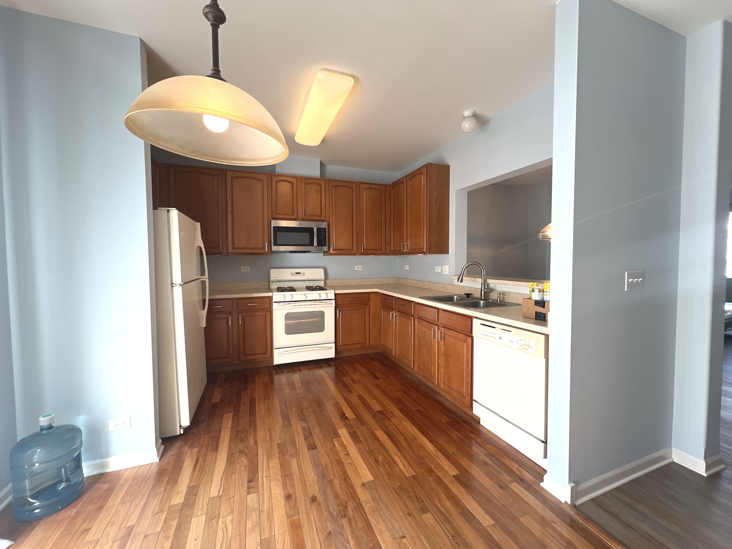 669 S Rosehall Lane #669, Round Lake, IL 60073