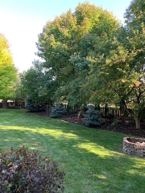 Plainfield, IL 60585