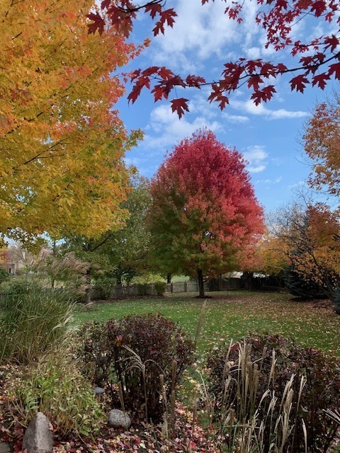 Plainfield, IL 60585