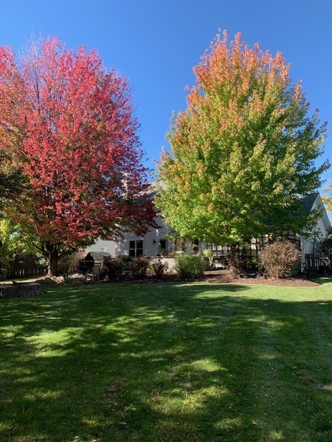 Plainfield, IL 60585